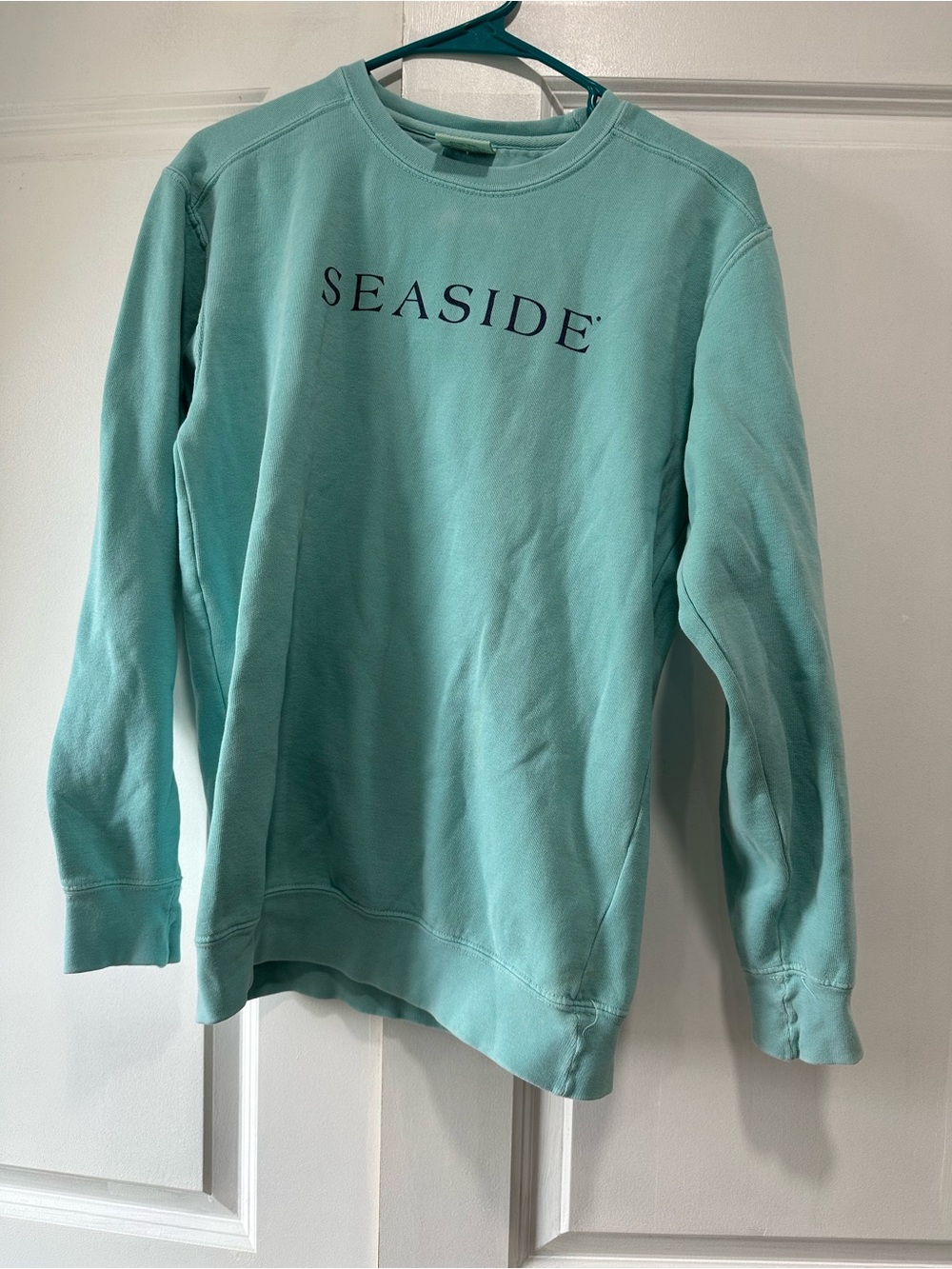 Seaside Crewneck Comfort Colors Sweatshirt - Aqua Small Coastal 30A Beach Preppy